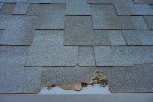 roofing contractor inspection unveils shingle damage repair needed