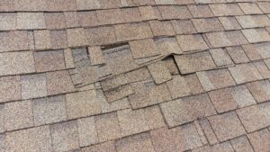 roof leak repair needed roofer inspection